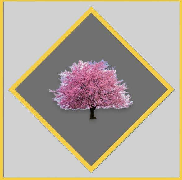 picture of a cherry tree with a gray background