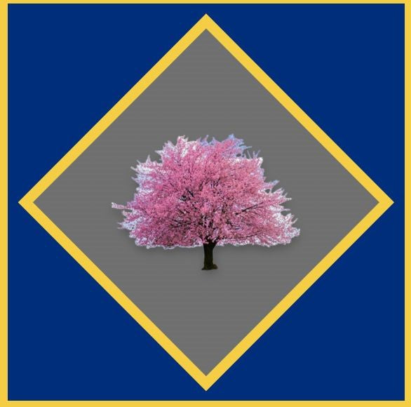 Cherry Tree Tools
