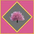 Cherry Tree Tools Gift Cards with a red background