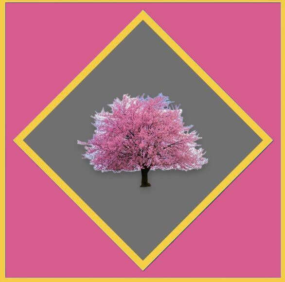 Cherry Tree Tools Gift Cards with a red background