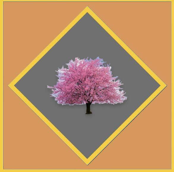 Cherry tree tools Gift cards with an orange background