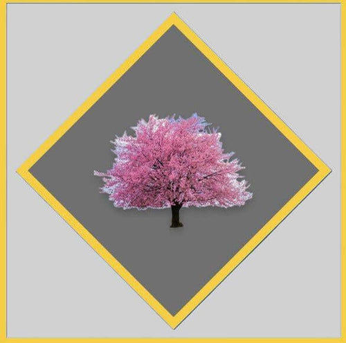 Cherry Tree Tools Gift Cards with gray background