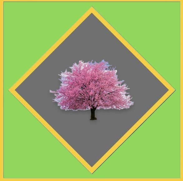 Cherry Tree Tools Gift Cards with a green background