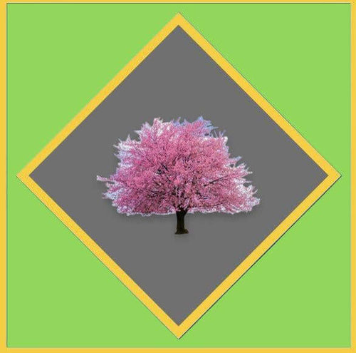 Cherry Tree Tools Gift Cards with a green background