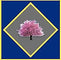 Tree on a grey backround surrounded by a blue border
